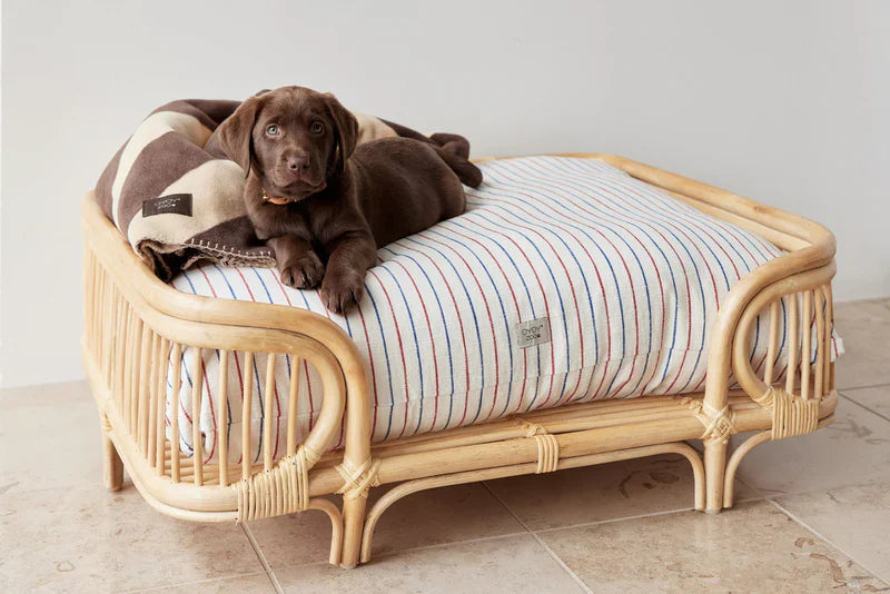 Beds And Blankets