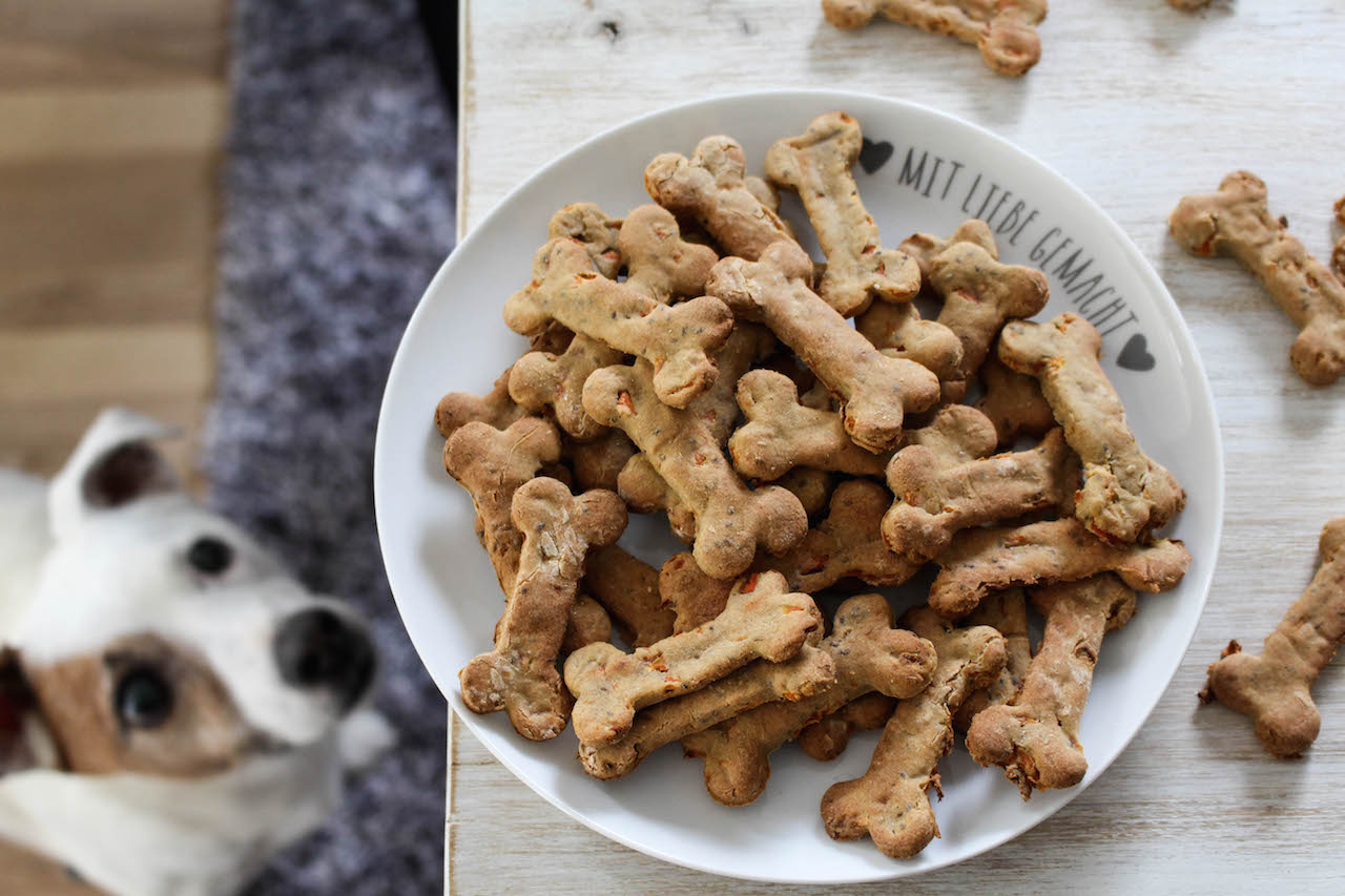 Pet Treats